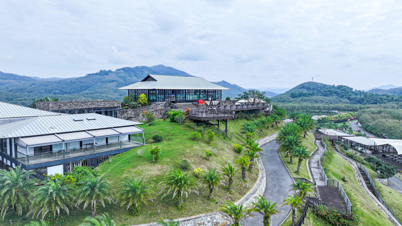 儋州“云舍松涛”。海南省旅文厅供图