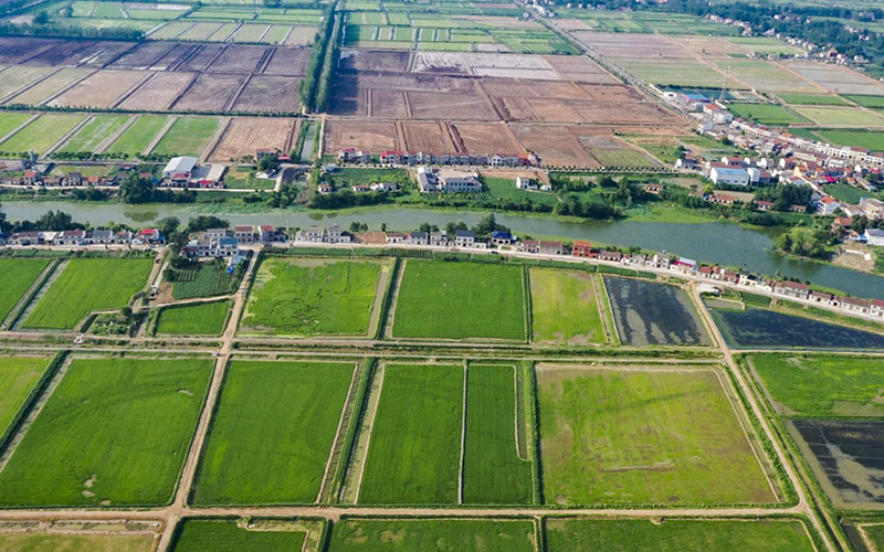 公安县麻豪口镇全域国土综合整治项目获评2024年湖北省全域国土综合整治优秀范例。