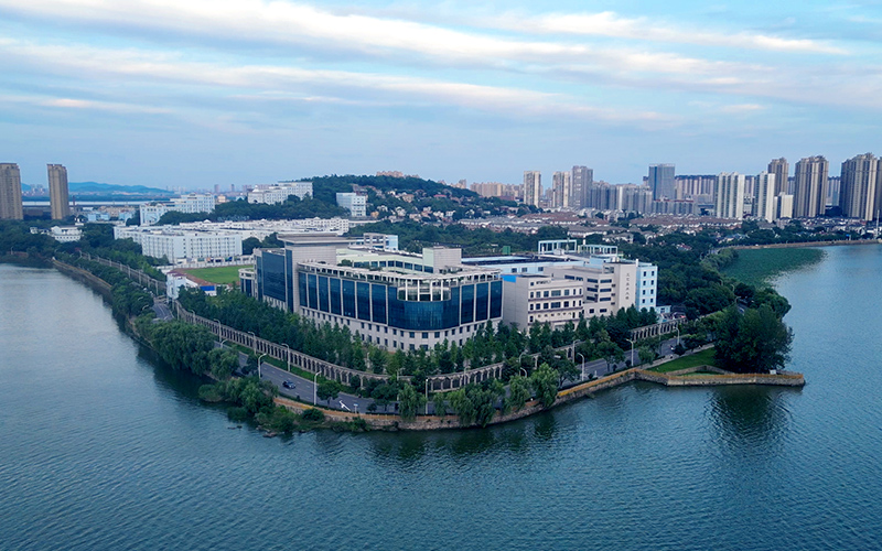 武昌理工学院。