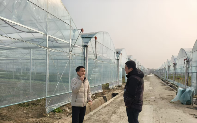 武汉市农业农村局开展设施大棚寒潮防护督导。