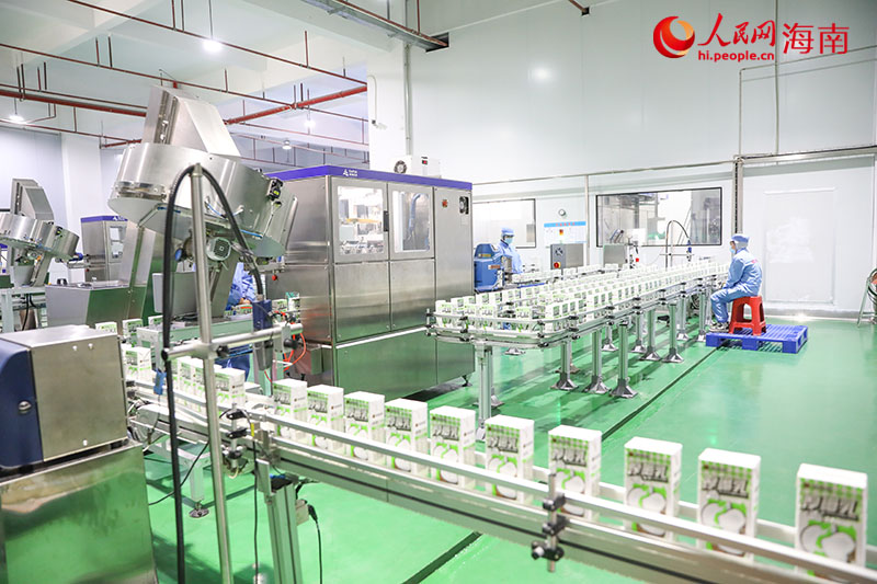 在椰彩食品的外包装车间，自动化设备正在飞速运转。人民网记者 牛良玉摄.jpg
