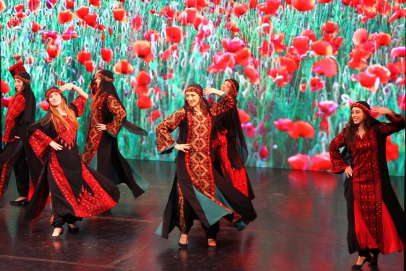 约旦艺术家精彩表演，纳达尔·达乌德摄