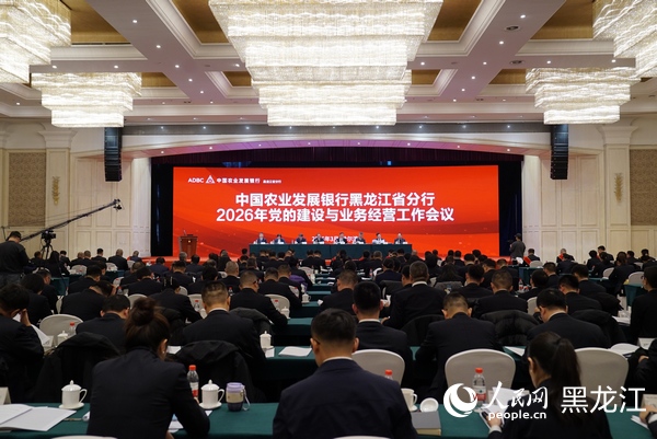 会议现场。人民网记者 尚城摄