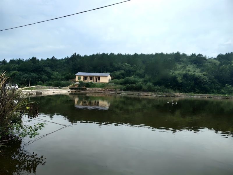 陈家大堰水产养殖基地