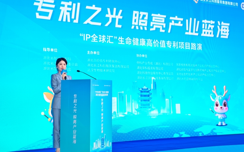 项目路演现场。