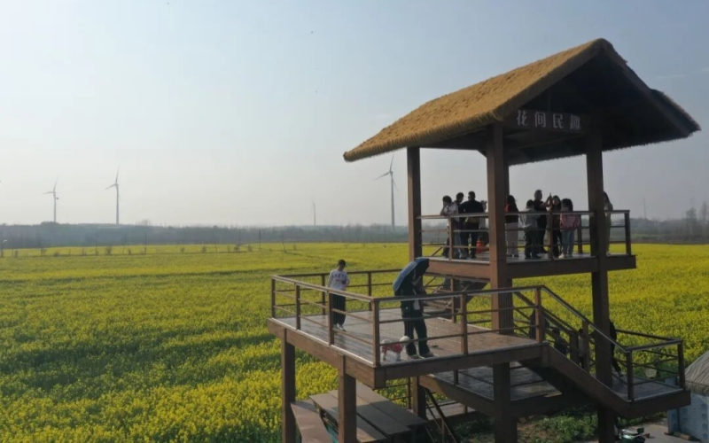 应城市城北街道魏河村，风景如画。孙缙摄