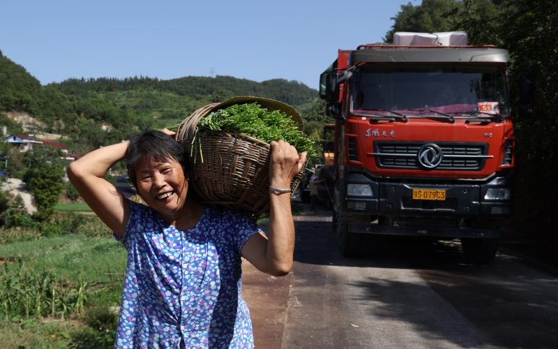村民将农产品送往产业园。欧阳新焱摄