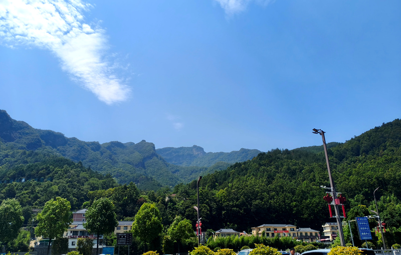 佛坪县森林覆盖率达91.19%,优越的自然环境成为保护生物多样性的基础。人民网记者 孙博洋摄