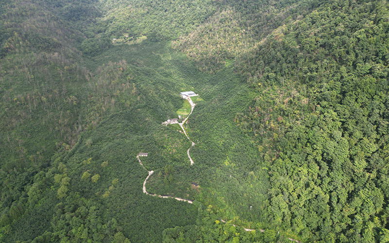 航拍丰溪凉桥村药材基地。陈建树摄