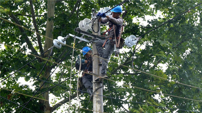 国网黄山市黄山区供电公司员工抢修树木倒伏压线导致的断线故障。舒刘钊摄