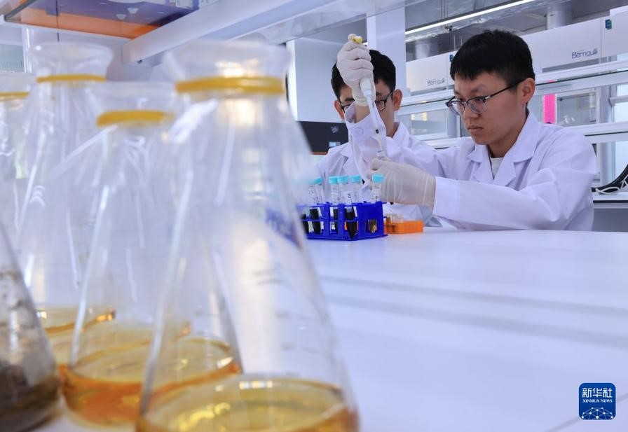 2026年6月18日，科研人员在国家现代中药创新中心中药生物工程研究实验室工作。新华社记者 殷刚 摄